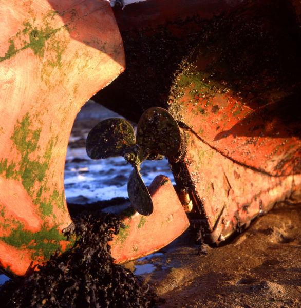 Photo, photographie de détail de coque de bateau du Finistère, marron, orange, bleu, noir, avec un gouvernail, une hélice et du goémon sur le sable @ Christophe Pluchon