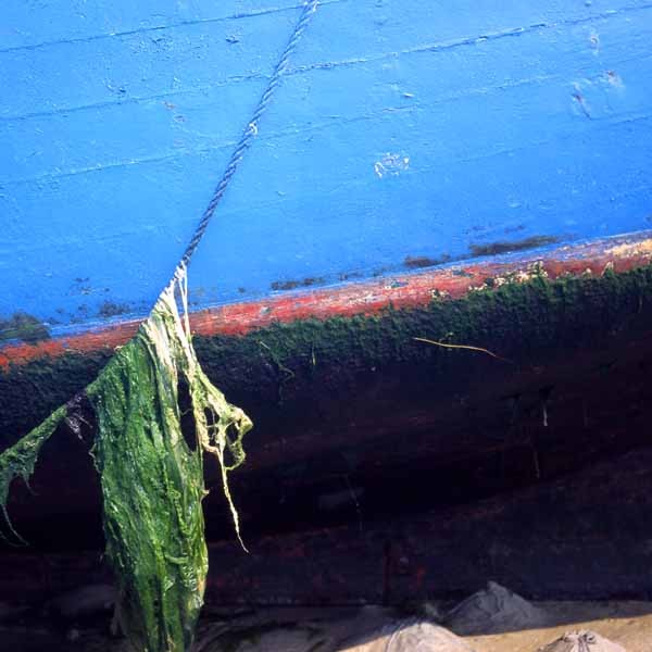Photo, photographie de détail de coque de bateau du Finistère, rouge, bleu, vert, marron, avec une corde ou un cordage et une algue @ Christophe Pluchon