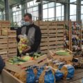 La coopérative Finistesrestes 29 sauve les fruits et les légumes hors-calibre
